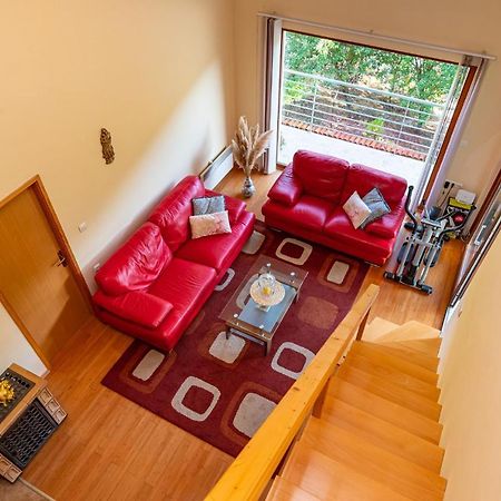 Apartments Maris Novigrad  Eksteriør bilde