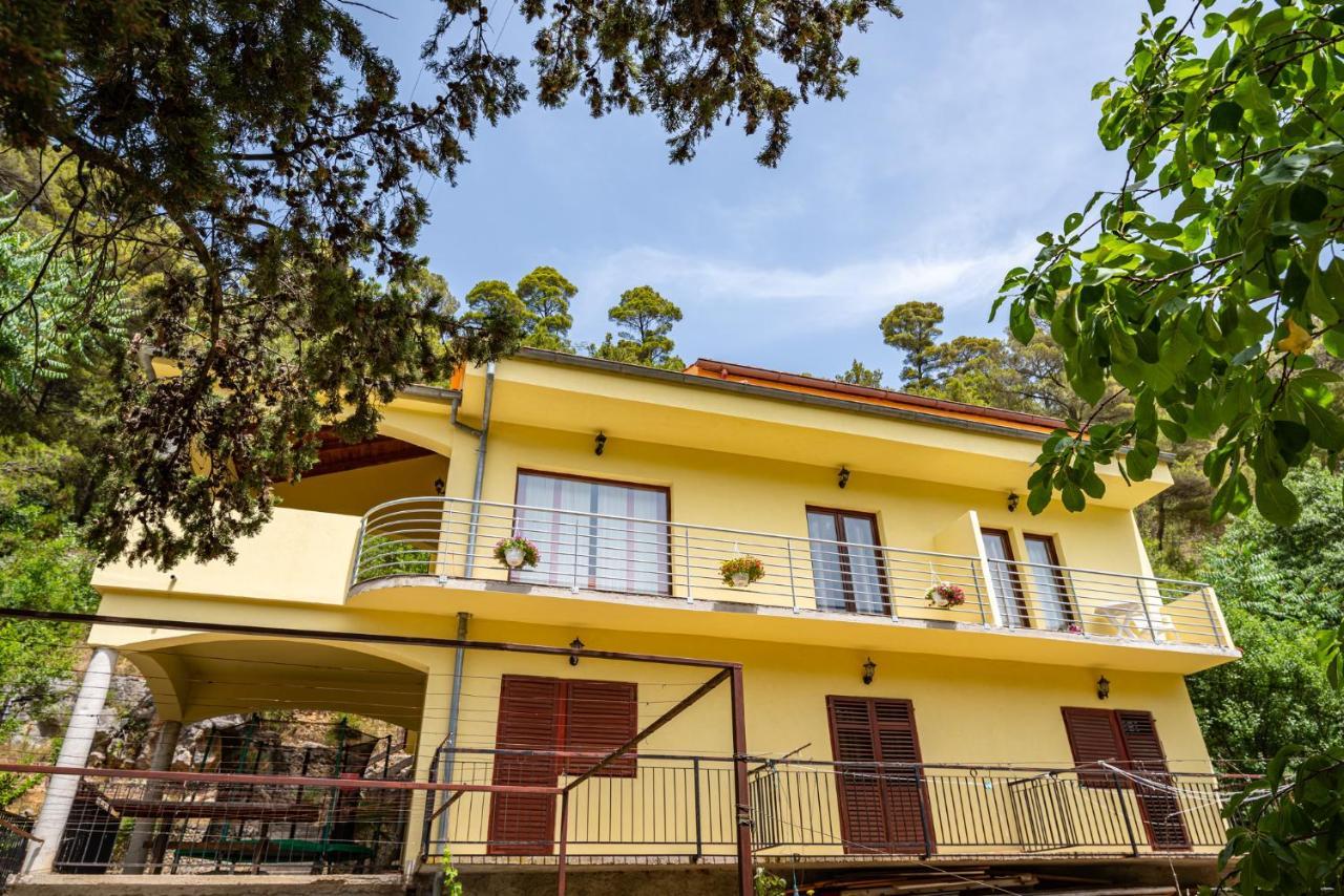 Apartments Maris Novigrad  Eksteriør bilde