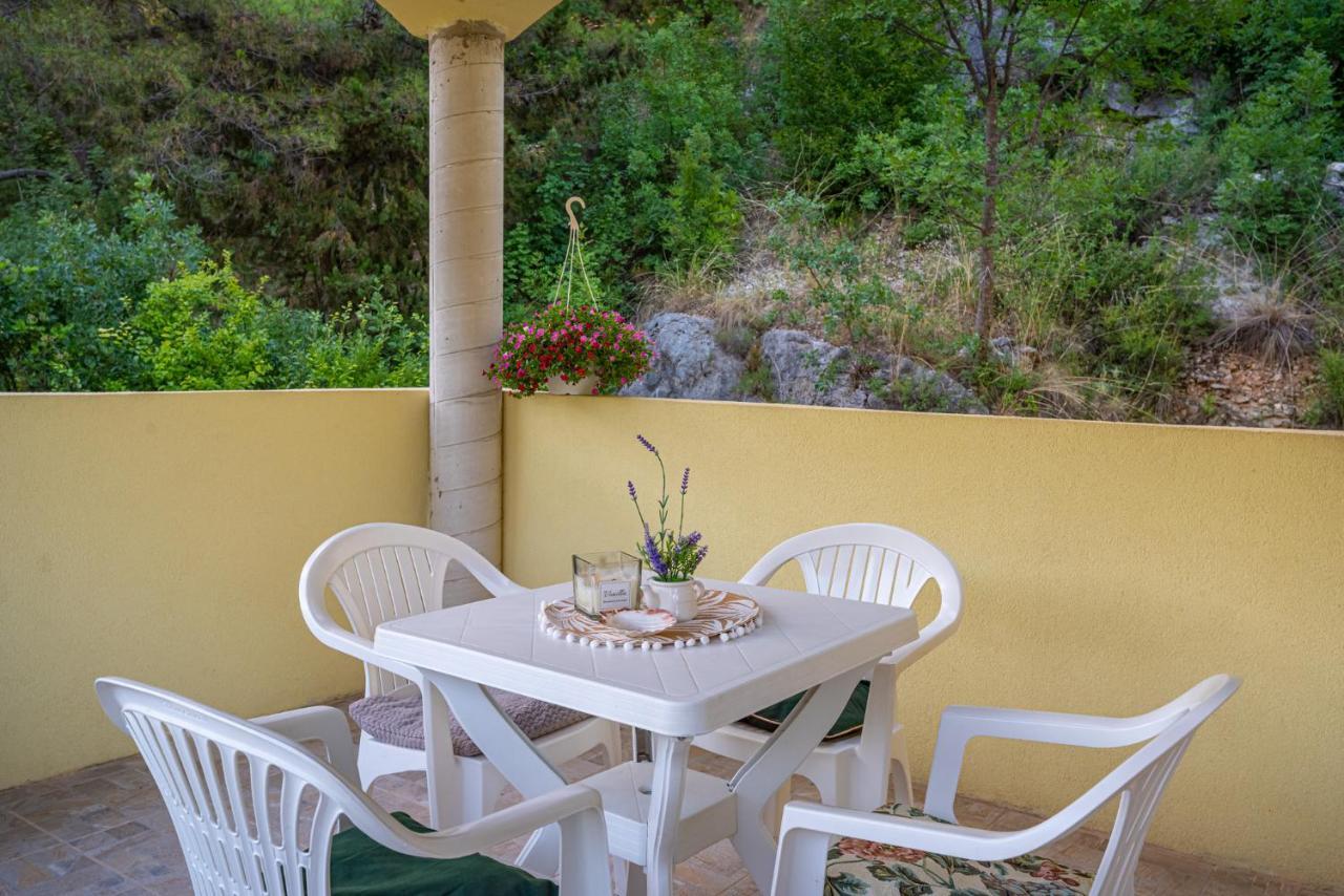 Apartments Maris Novigrad  Eksteriør bilde