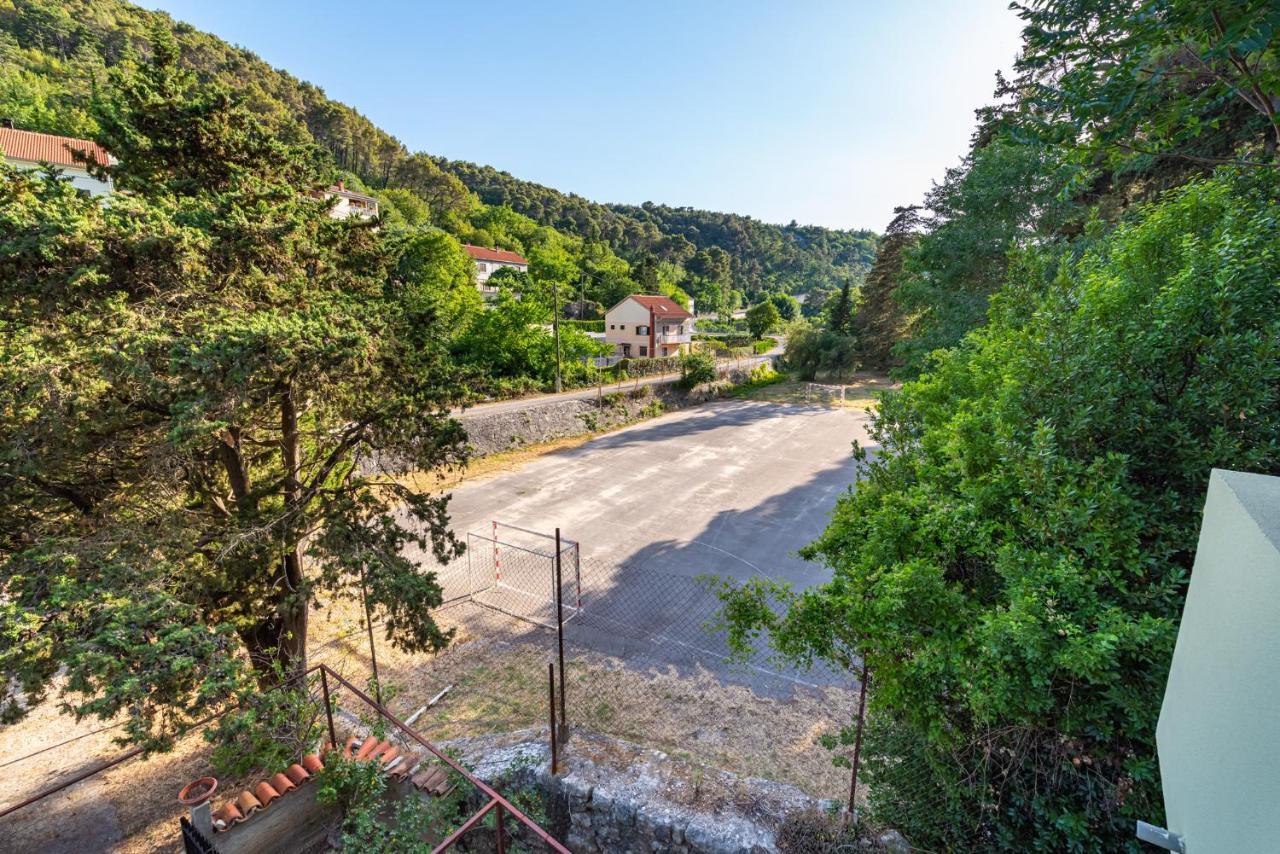 Apartments Maris Novigrad  Eksteriør bilde