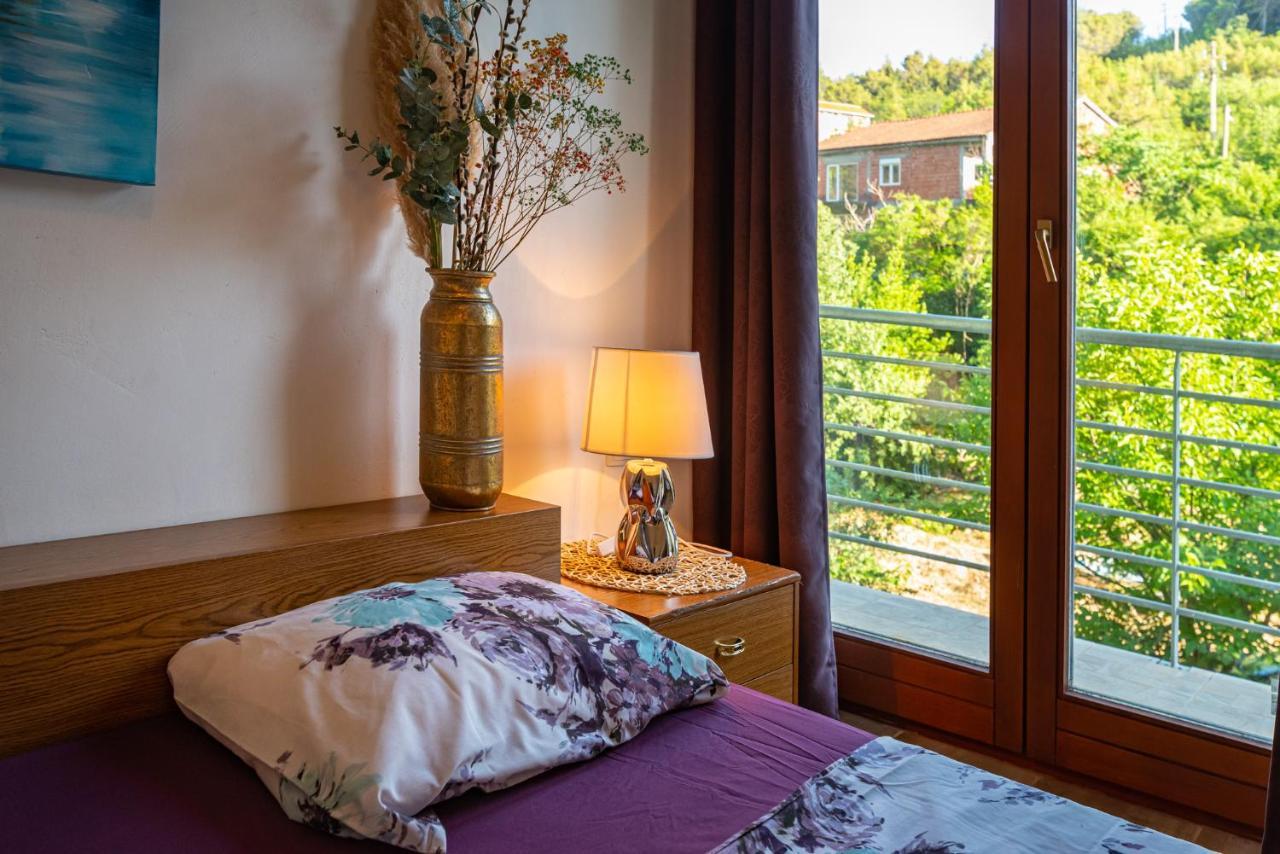 Apartments Maris Novigrad  Eksteriør bilde