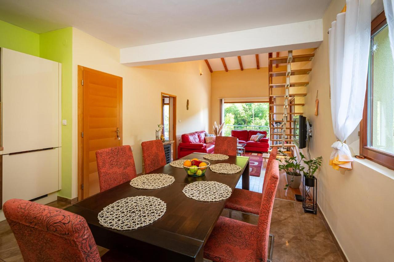 Apartments Maris Novigrad  Eksteriør bilde